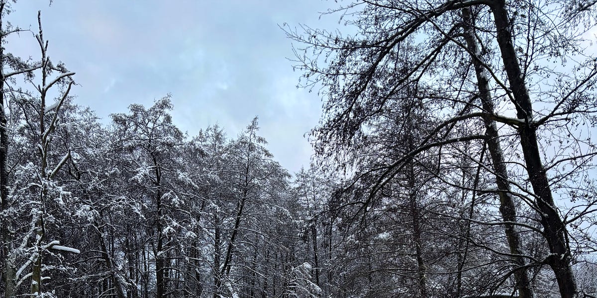 The most underappreciated part of winter