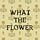 What The Flower
