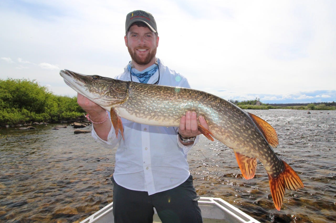 The author with a large Saskatchewan northern pike.