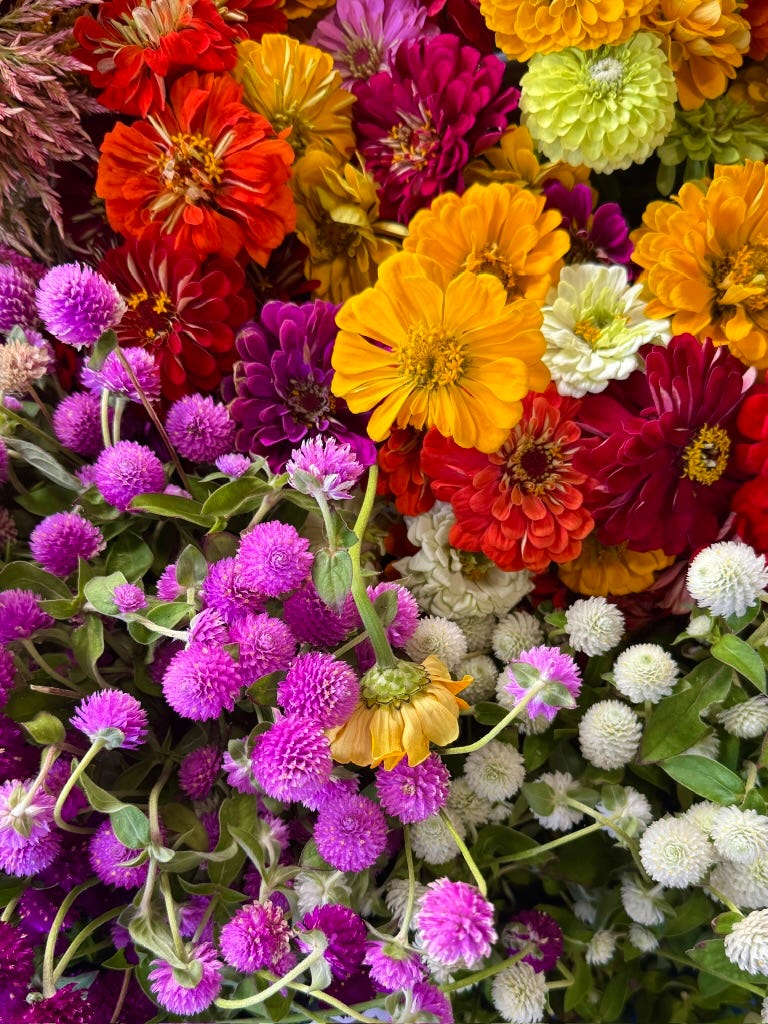 beautiful, colorful flowers beautiful, colorful flowers