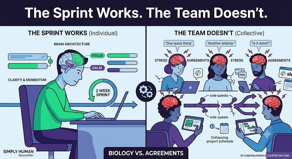 Agile sprints: individual vs teams by Colette Molteni and Ivan Palomino