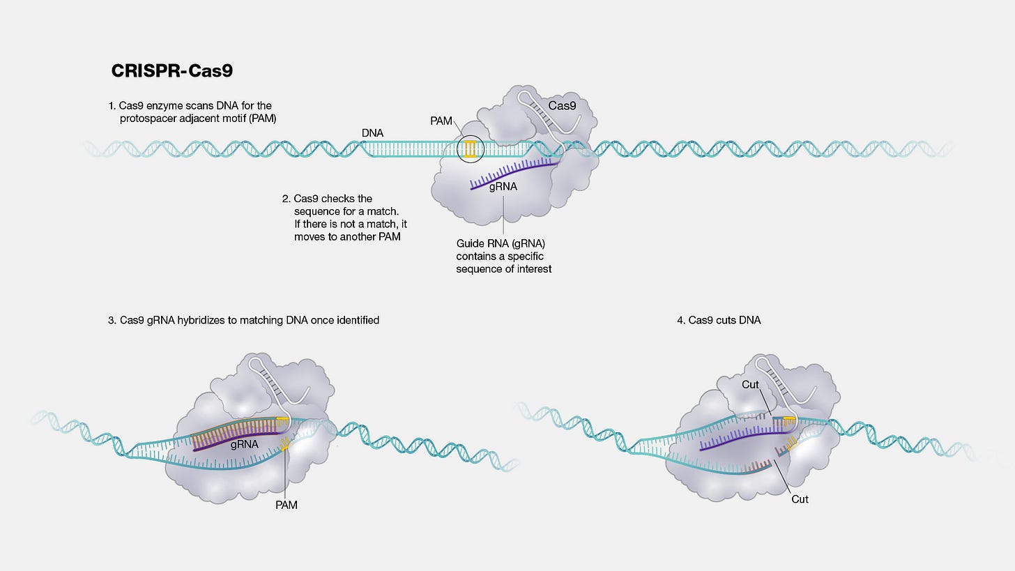 CRISPR CRISPR