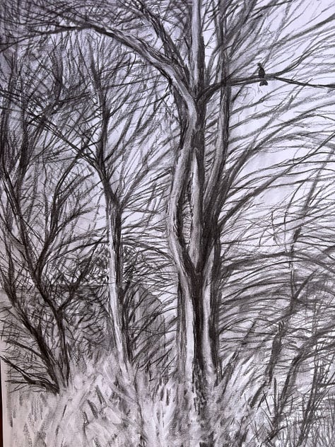 A3 Charcoal and A4 pastel drawings