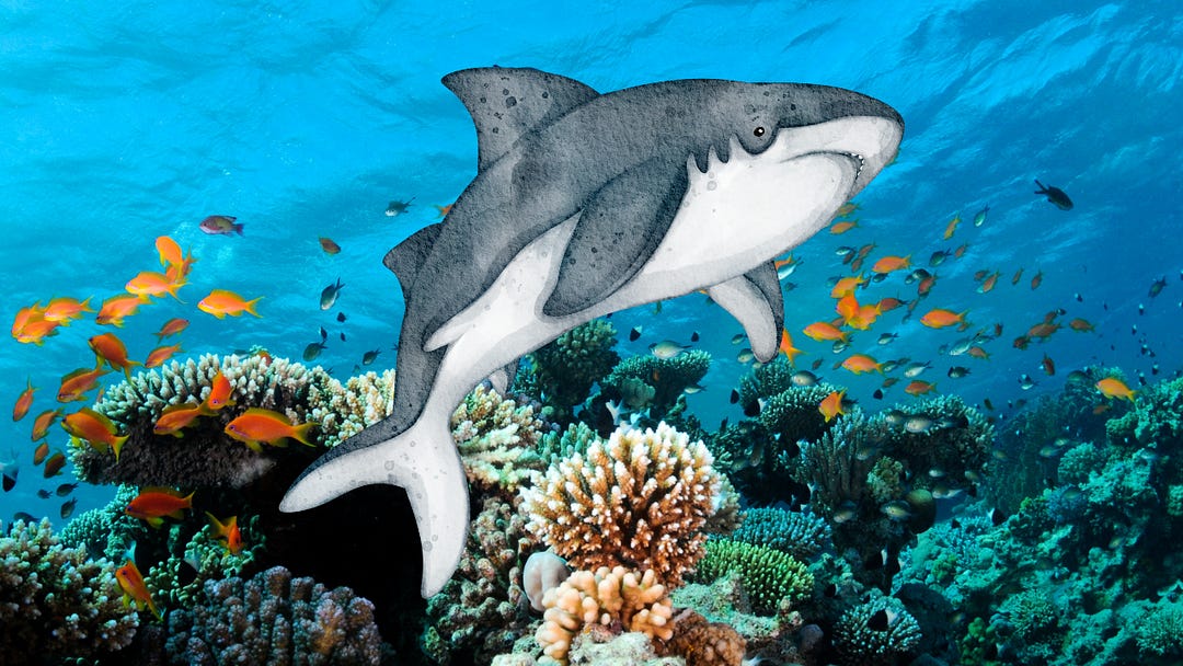 A digitally edited image of an underwater coral reef scene features a watercolor-style shark swimming among vibrant orange and black fish. The coral reef is rich in detail, showcasing various types of coral formations. The mix of realistic marine life and the artistic shark creates a striking contrast, blending art with nature in a visually engaging way