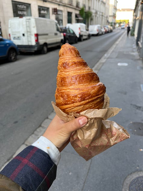 Japanese garden at Île de Versailles and morning walk along Erdre River, buttery croissant, fresh strawberries and seafood at Talensac Market