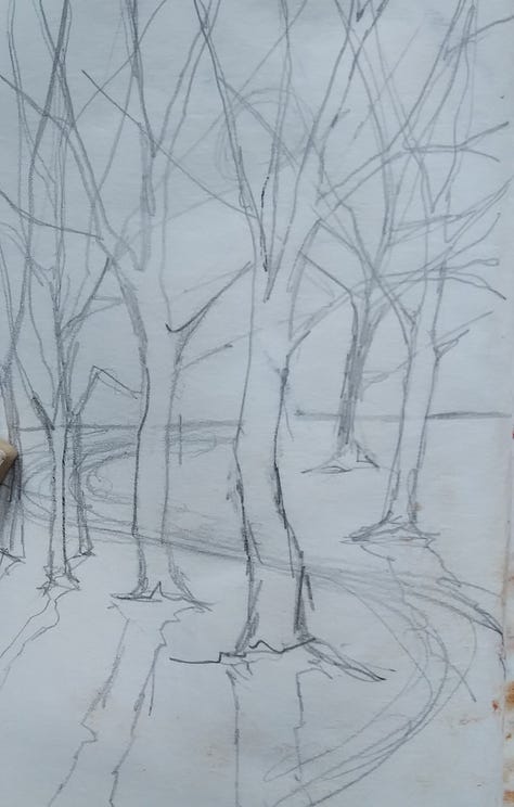 Drawings, watercolours, photos and written notes.