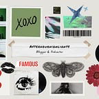 Afterhourhighlights’s