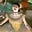 Treya's avatar