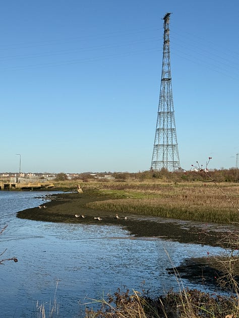 A lampost, electricity pylon, and view of the sun through the fields