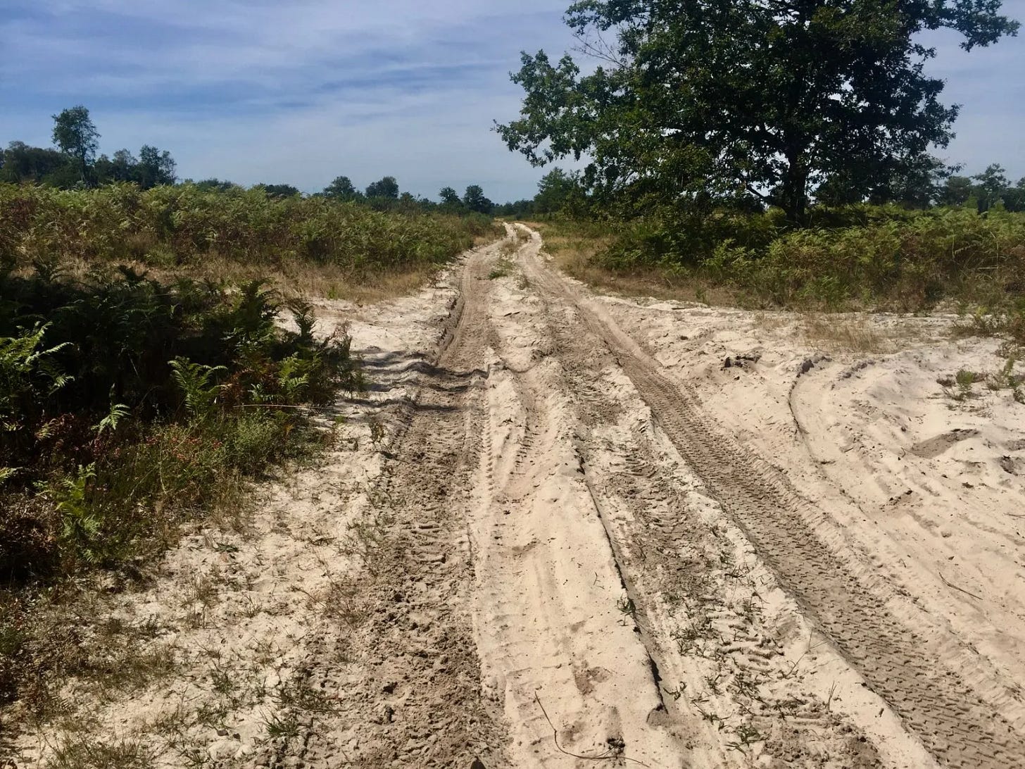 Dans le sable Dans le sable