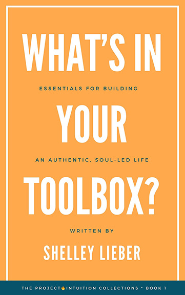 book cover image What's In Your Toolbox?