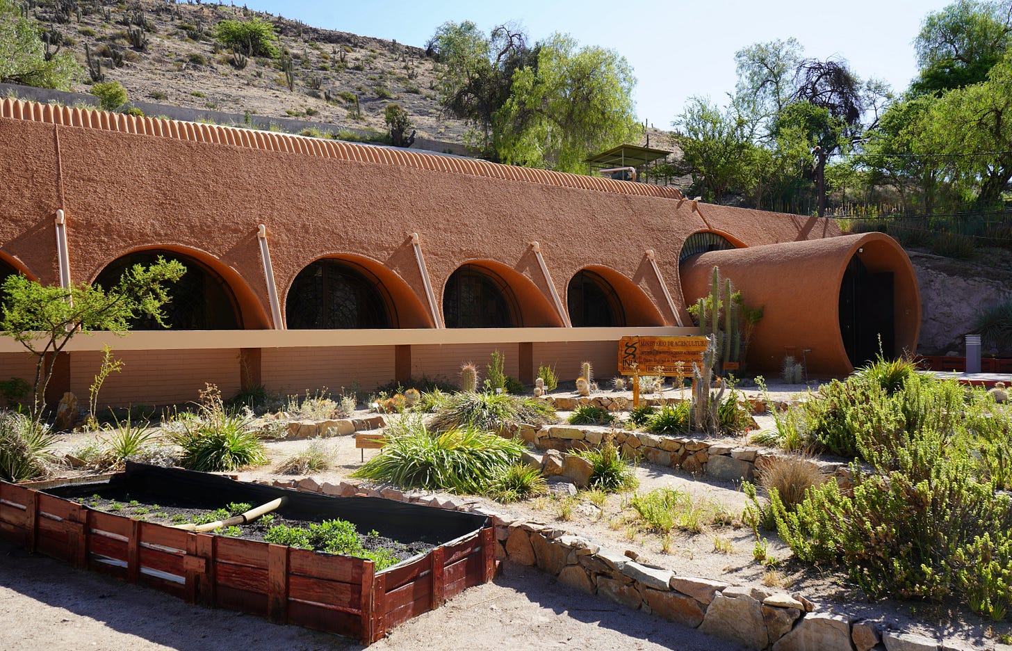 Nestled against the hillside, in the Atacama desert, the Initihuasi Seed Bank is safeguarding the future of biodiversity in the heart of the desert, one seed at a time.