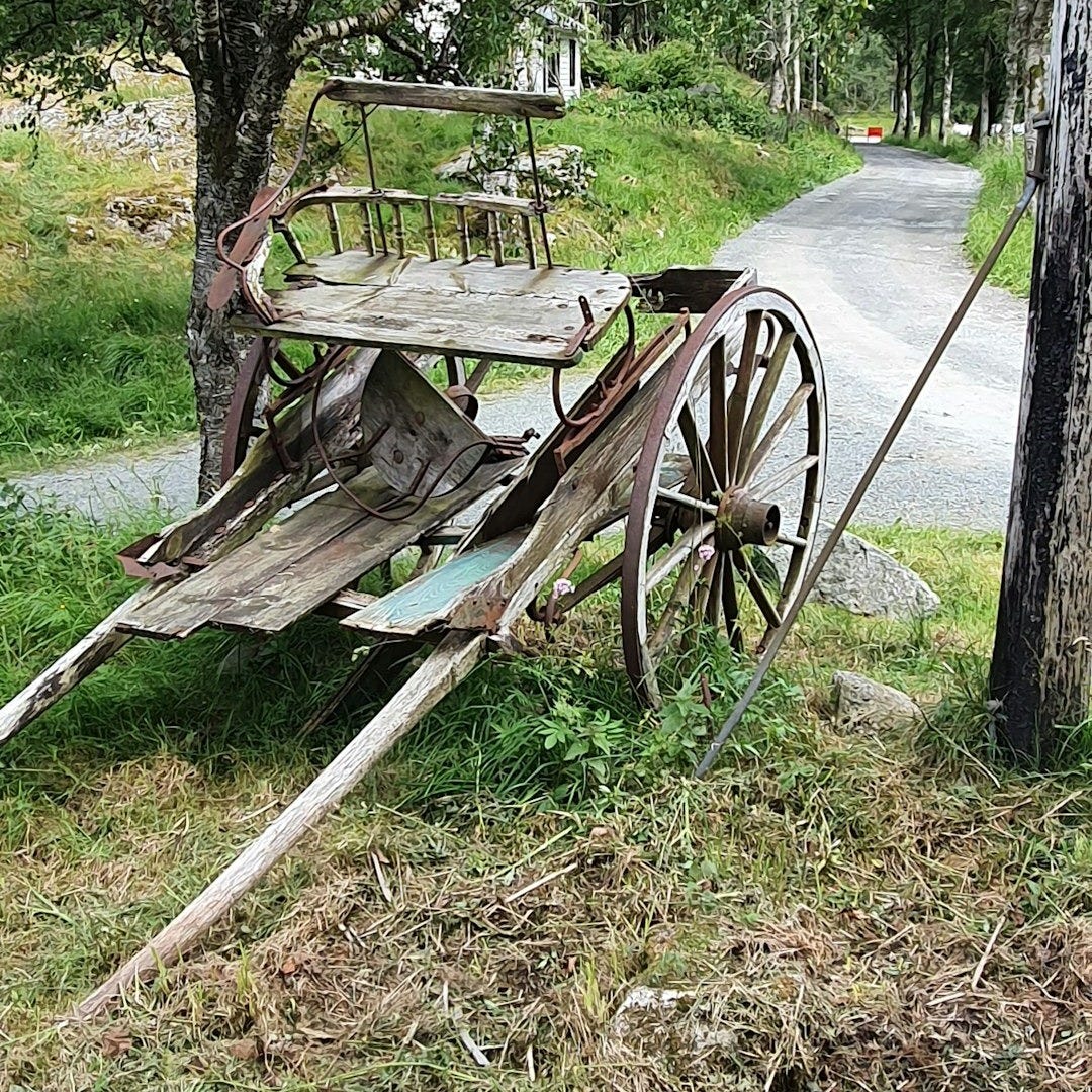 An old wagon leaning against a tree on the side of a road