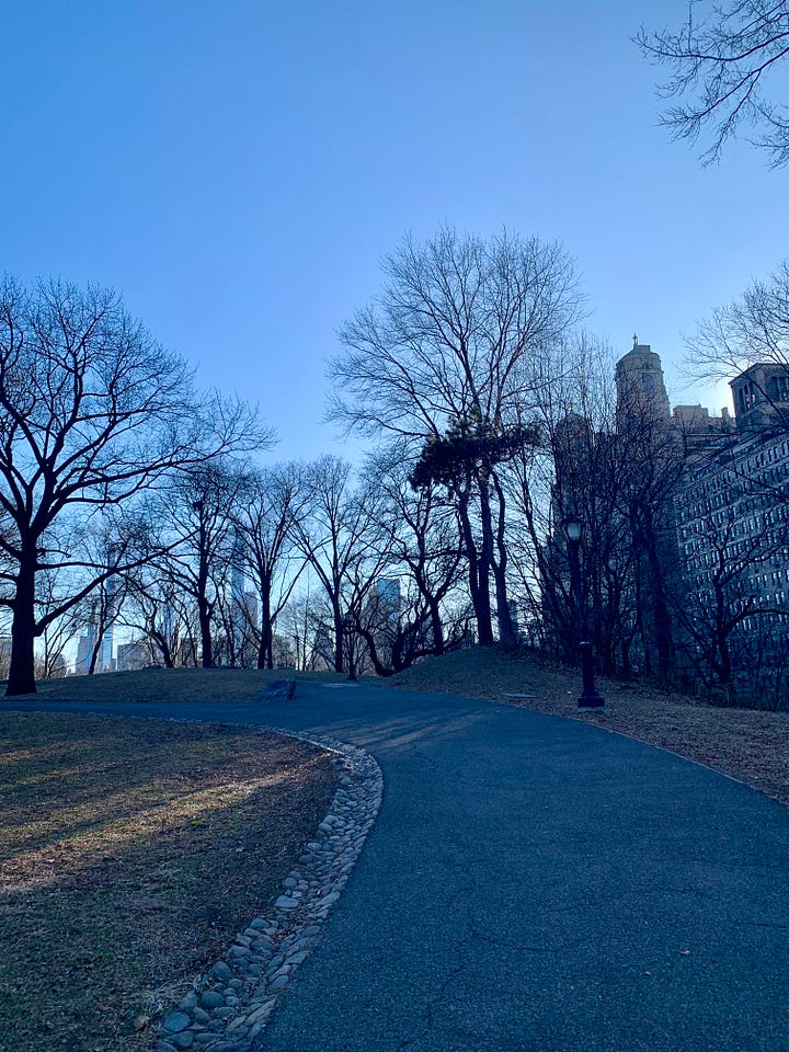 A passeggio per New York e per Central Park in una giornata fredda, con il cielo limpido.