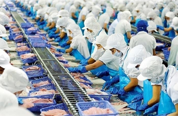 Vĩnh Hoàn (VHC) giảm kế hoạch lợi nhuận năm 2025