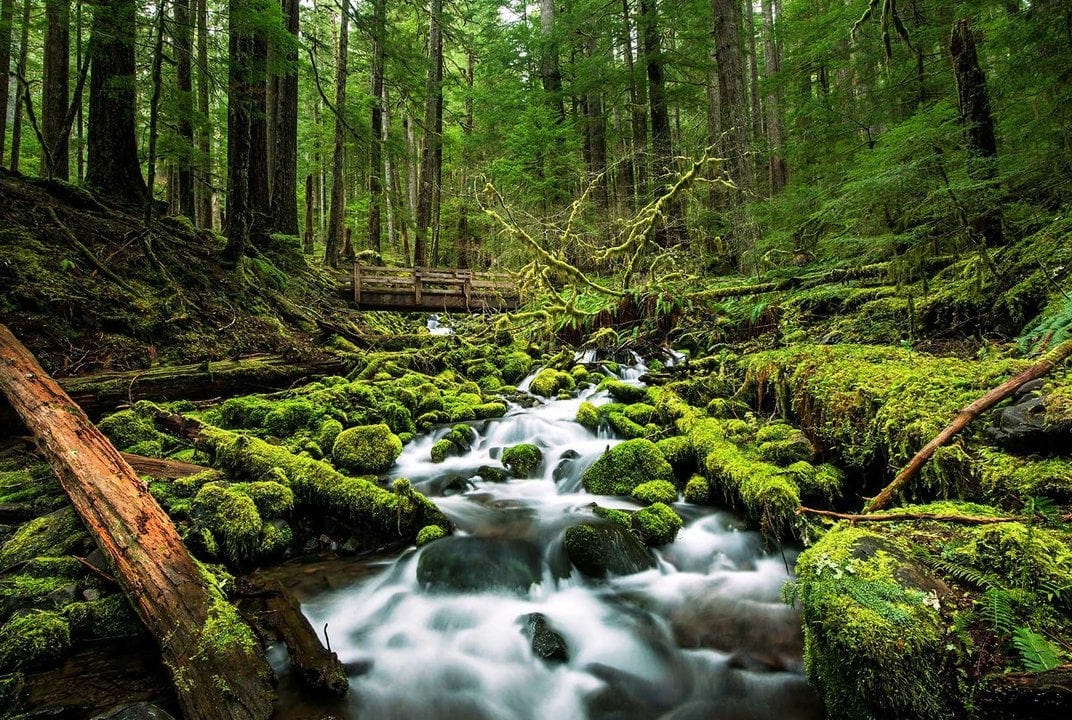 Listening to Nature Gives You a Real Rocky Mountain High | Science|  Smithsonian Magazine