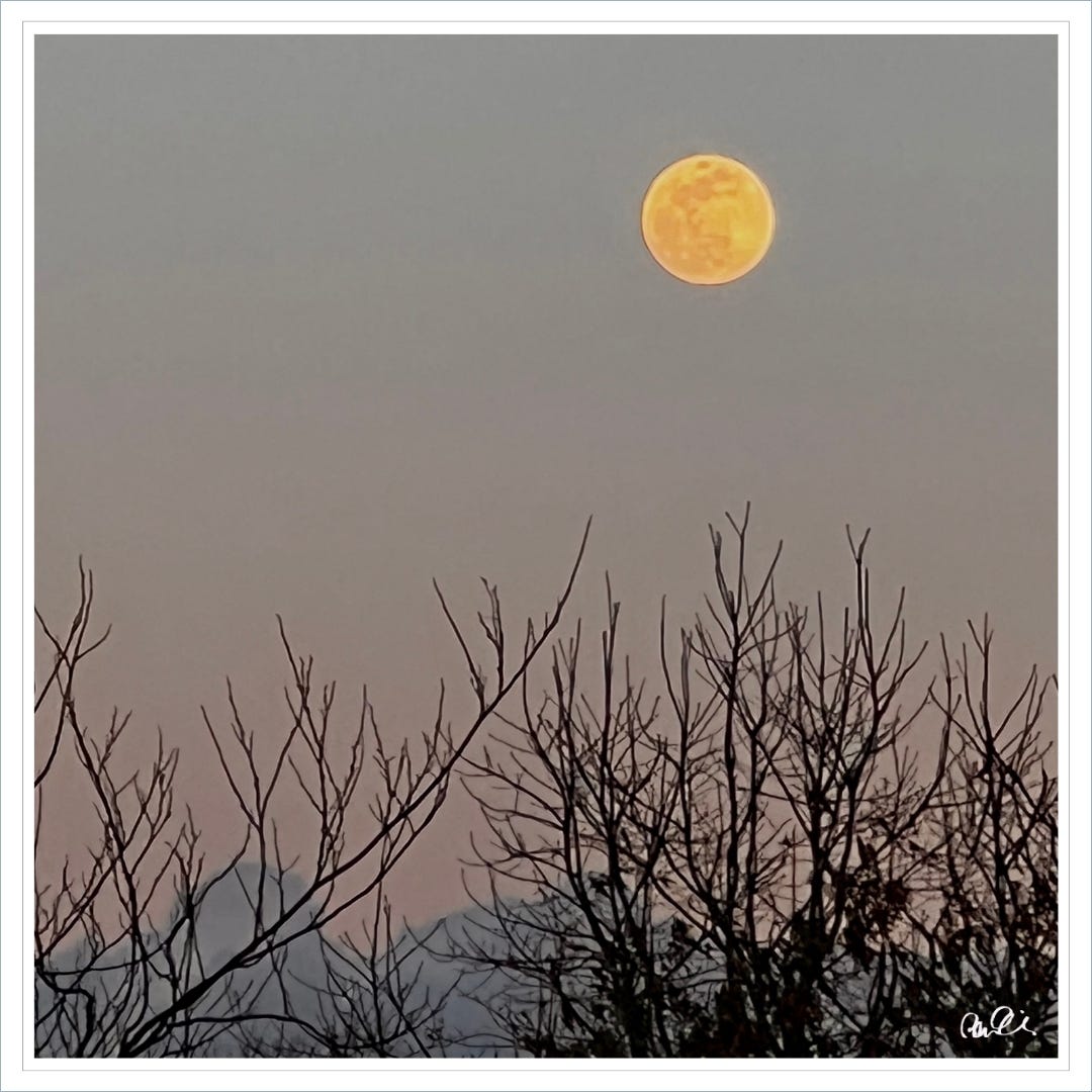 Full moon at dusk