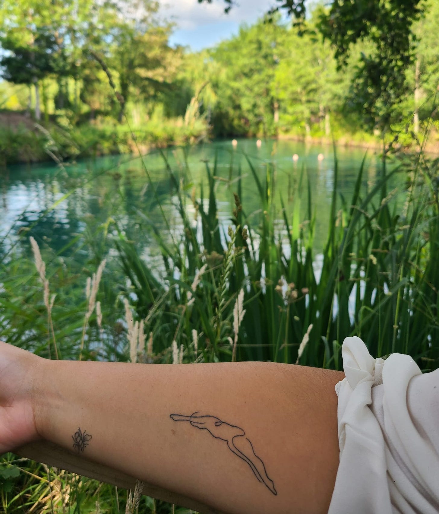 My arm, showing new tattoo of a female swimmer diving and small bee tattoo, lake and reeds visible in the background