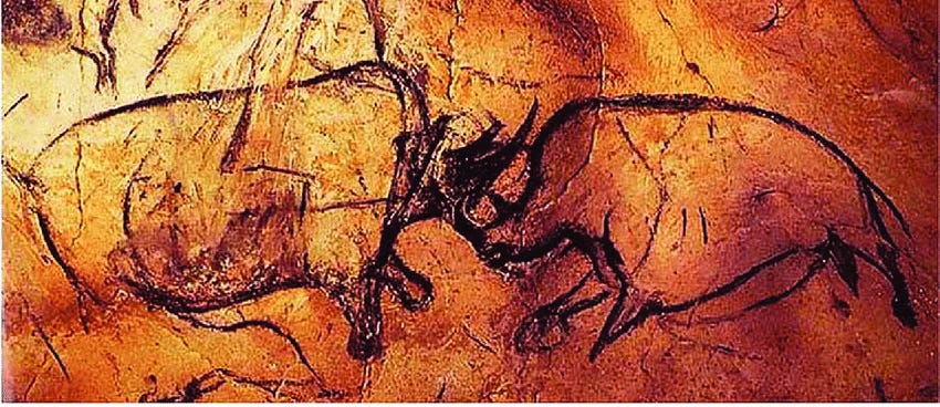 woolly rhino Chauvet cave art woolly rhino Chauvet cave art