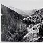 Standing Amongst the Ruins