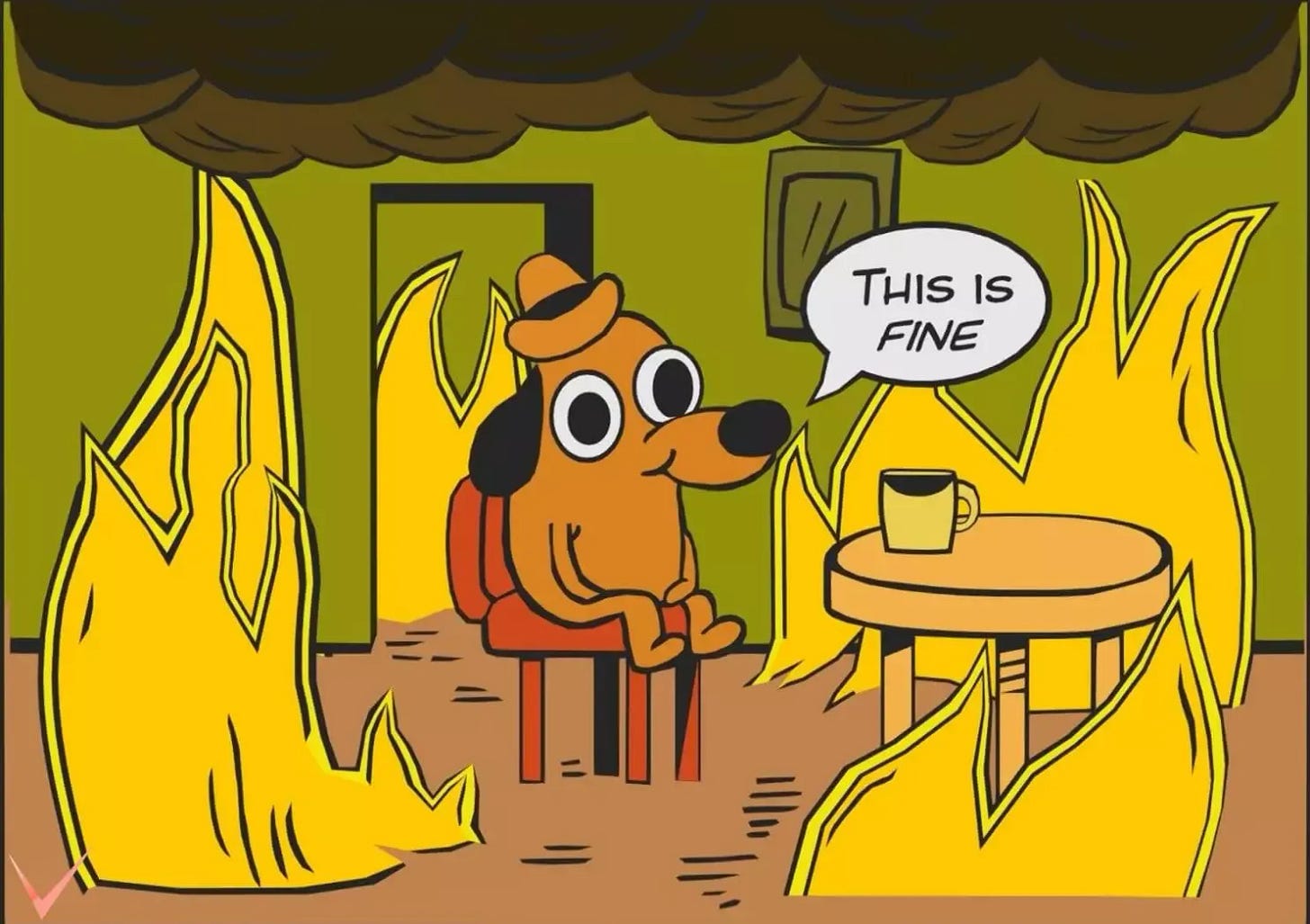Image description: A brown cartoon dog with black ears and a fedora, sitting at a kitchen table while the room around him is in flames. He has a speech-bubble saying, "This is fine."