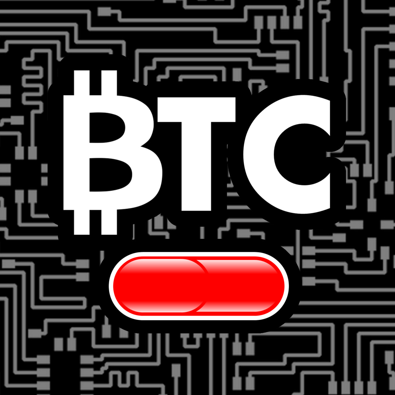 Elon Musk on Bitcoin, and Reddit vs. Wall Street