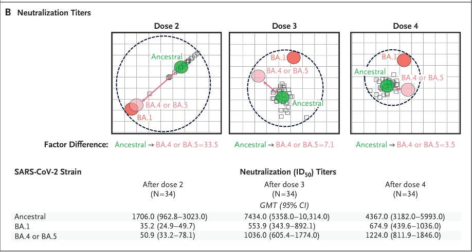 Chart from New England Journal of Medicine dated January 25th, 2023. This chart demonstrating how exposure to multiple Novavax vaccines shrinks the antigenic range between your existing antibodies... In this example, the ancestral vaccine antibodies were able to reach Omicron BA.4 and BA.5 variants that didn't even exist when it was made.