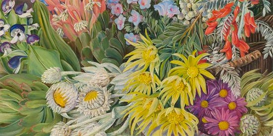 A Medley of Flowers from Table Mountain Cape of Good Hope Marianne North detail A Medley of Flowers from Table Mountain Cape of Good Hope Marianne North detail