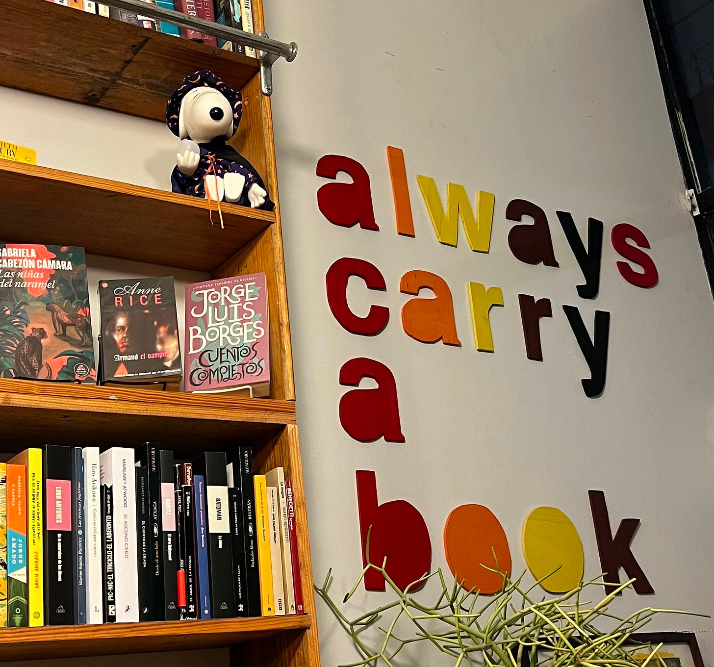 A corner of a bookcase and the wall of Pilsen Community Books. On the wall, in paper-cut outs, reads "always carry a book" (ACAB)
