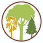 Grove Creative Collective's avatar