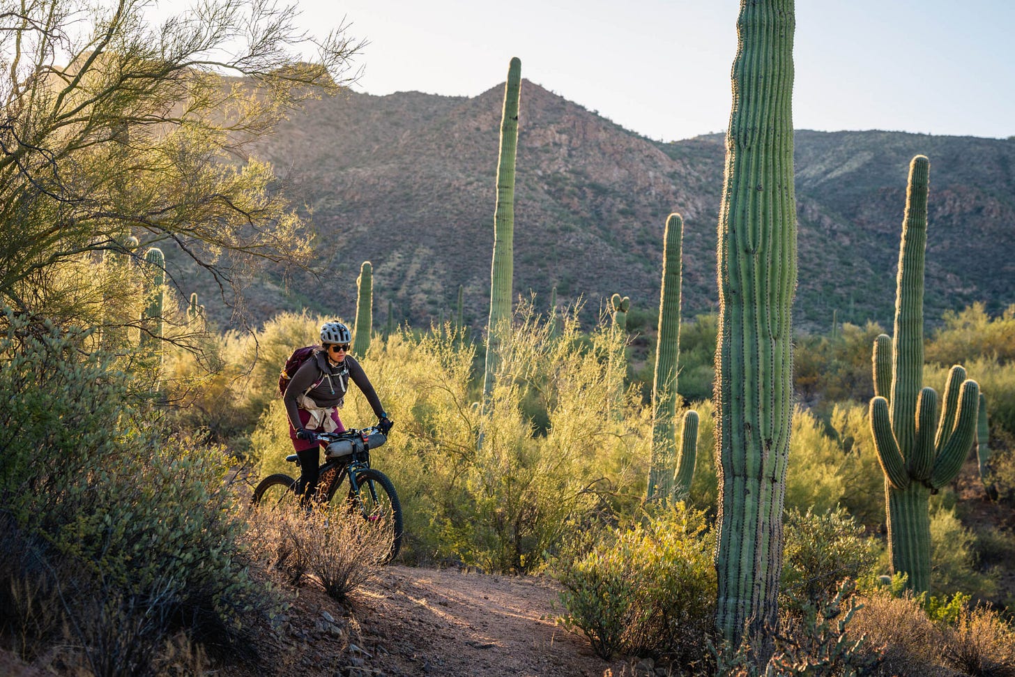 2024 Arizona Trail Race mid-race recap 2024 Arizona Trail Race mid-race recap