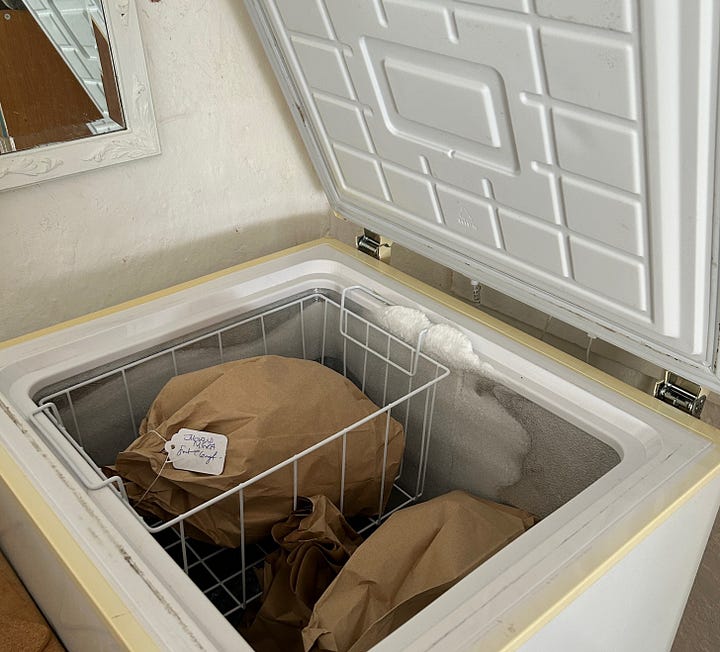 dark purple elderberries in a bunch and brown paper bags in a chest freezer