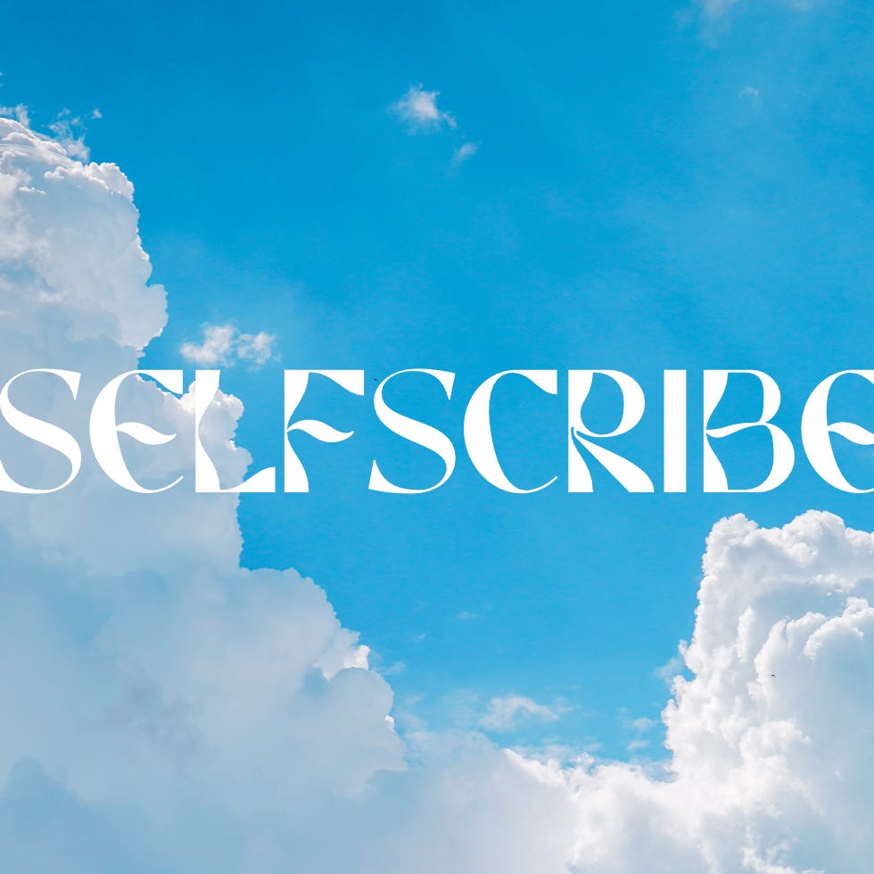Artwork for Selfscribe