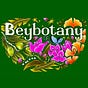 Nada Beydoun's avatar
