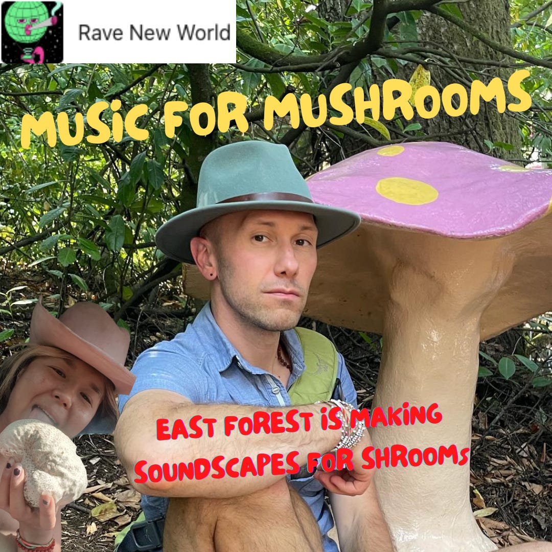 MUSIC FOR MUSHROOMS - by Michelle Lhooq - Rave New World