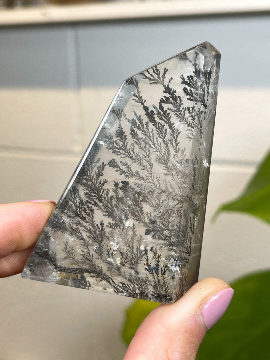 The Nature of Dendritic Patterns - Ashley Cowles