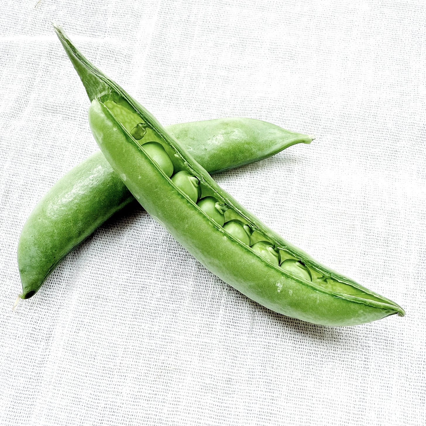 Six peas in a pod.