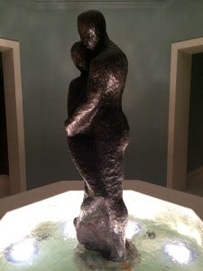 IMG_4518