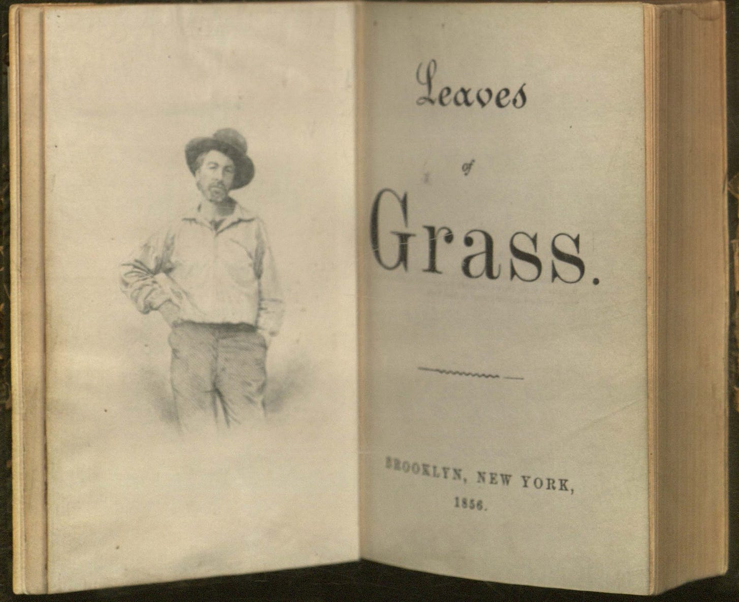 Leaves of Grass | Writings By Whitman | Leaves of Grass: The First 100  Years | Robert D. Farber University Archives and Special Collections |  Brandeis University