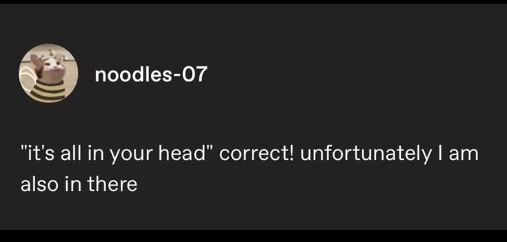 This may contain: the text reads nodles - 07 it's all in your head correct unfortunately i am also in there