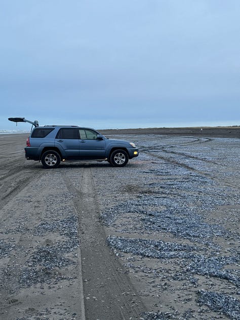 Winnie - Mayima for 50 - the scent of fish in the air - tiny luck - my sentiment on shared stalls - me and the Boba - greetings at the coast - fresh - tea that nails it