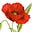 Shoshannah Richey's avatar
