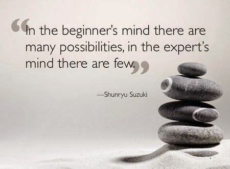 All Out Effort: Shoshin: The Beginner's Mind | Mindfulness, Buddhist ...