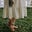 Morgaine's avatar