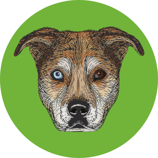Substack profile picture for @pack
