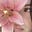 Gigi ˚.🎀༘⋆'s avatar