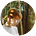 Xue Han's avatar