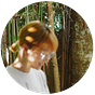 Xue Han's avatar