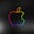 Avatar de LE BOURLOUT Ivan