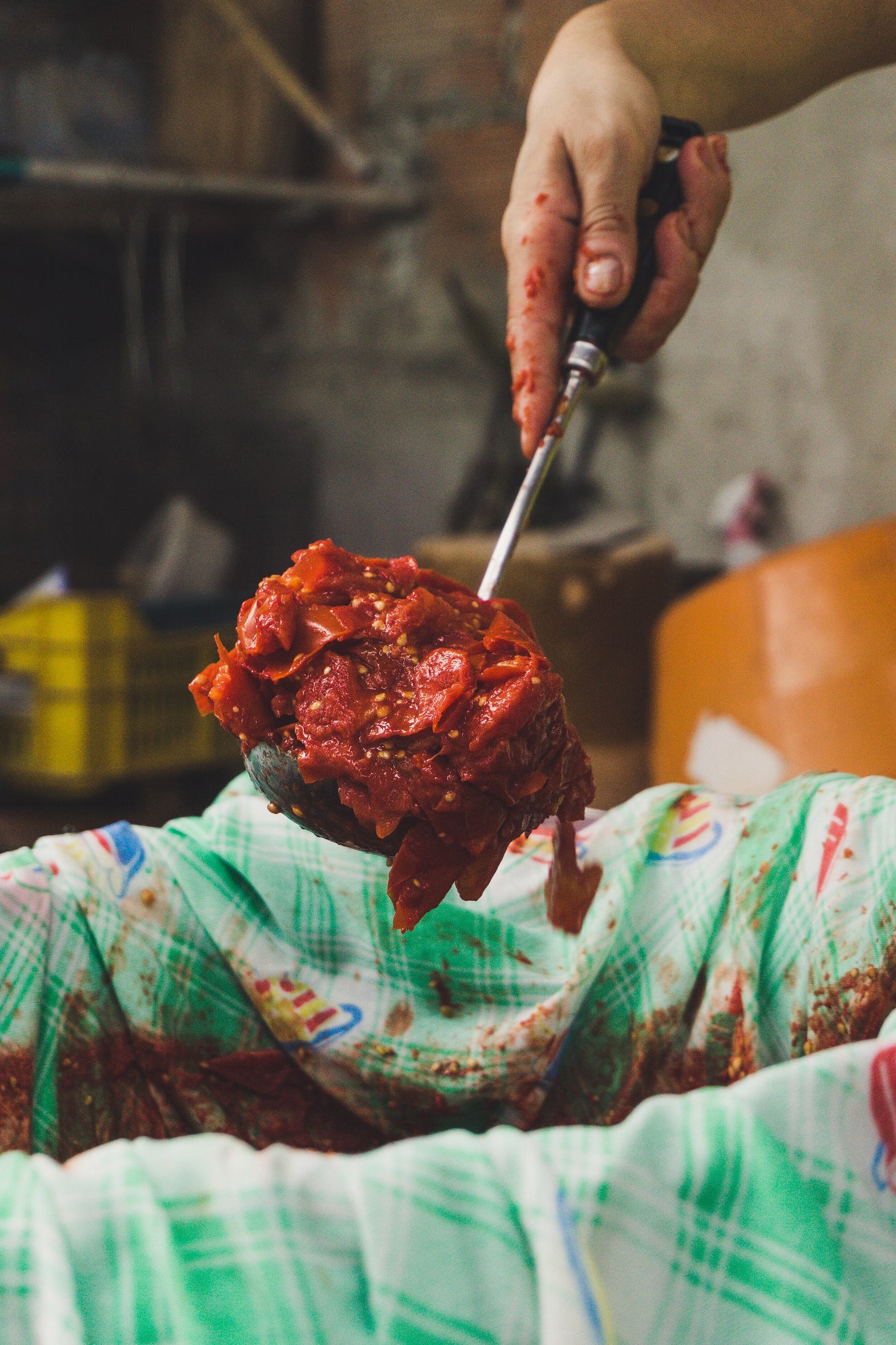 Image by Paolo Maniac via Unsplash.